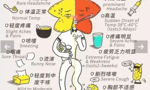 支气管结核需要上几次药-支气管结核用药周期网-分享支气管结核吃药一年都会好吗，支气管结核吃一年药够了吗知识库